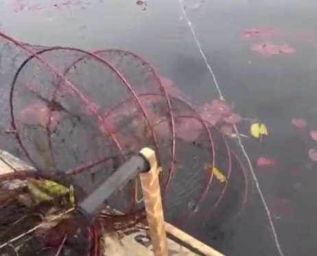 Afyonkarahisar’da ‘Nilüfer Cenneti’ Karakuyu Gölü’nde kaçak av ağları ele geçirildi