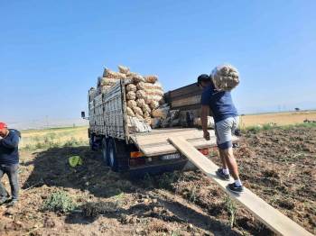 Afyonkarahisar’Da 2 Belde Ve 16 Köyün Geçimini Sağladığı Patateste Rekolte Yüzleri Güldürdü
