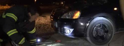 Afyonkarahisar'da akıl almaz olay! Yılan aracın içine girdi...