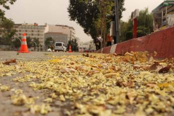 Afyonkarahisar’Da Aniden Çıkan Fırtına Şaşkınlığa Sebep Oldu
