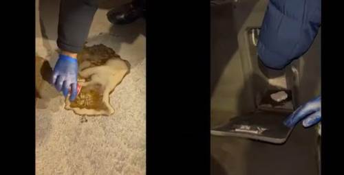 Afyonkarahisar’da doğalgaz kombisi ve kolanın içinde yakalandı!