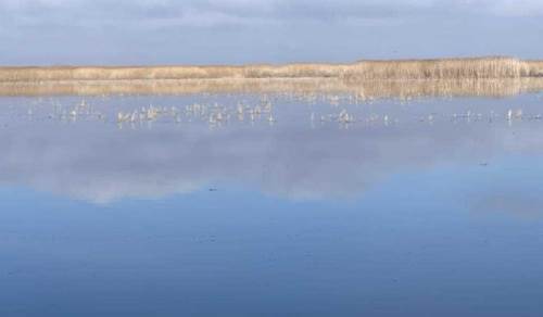 Afyonkarahisar'da Eber Gölü için alarma geçildi!