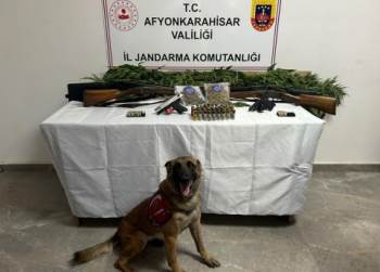 Afyonkarahisar’Da Evinin Bahçesine Kenevir Eken Şahıslar Yakalandı
