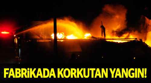 Afyonkarahisar’da fabrika yangını!