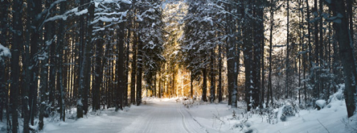 Afyonkarahisar’da gece saatlerine dikkat: Kar ve don uyarısı