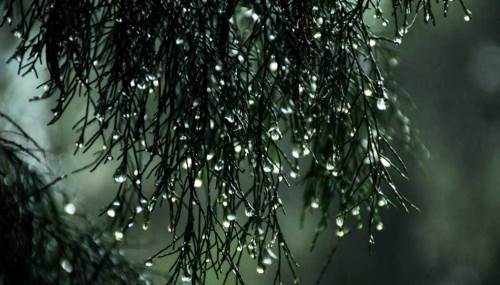 Afyonkarahisar'da hava durumu nasıl olacak? (14 Ocak 2025)