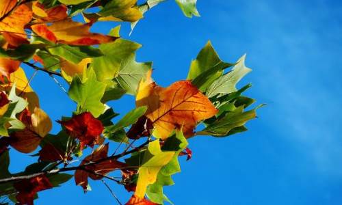 Afyonkarahisar'da hava durumu nasıl olacak? (2 Kasım 2024)