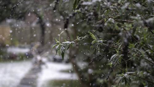 Afyonkarahisar'da hava durumu nasıl olacak? (25 Ocak 2025)