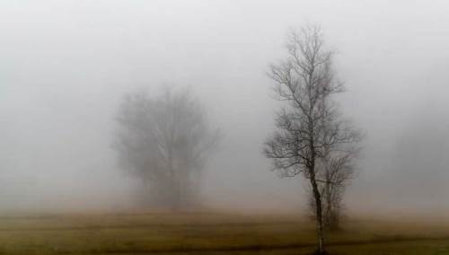 Afyonkarahisar'da hava durumu nasıl olacak? (30 Ocak 2025)