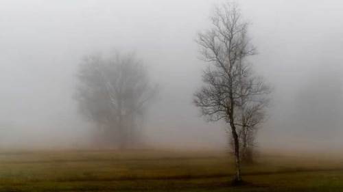 Afyonkarahisar'da hava durumu nasıl olacak? (31 Ocak 2025)