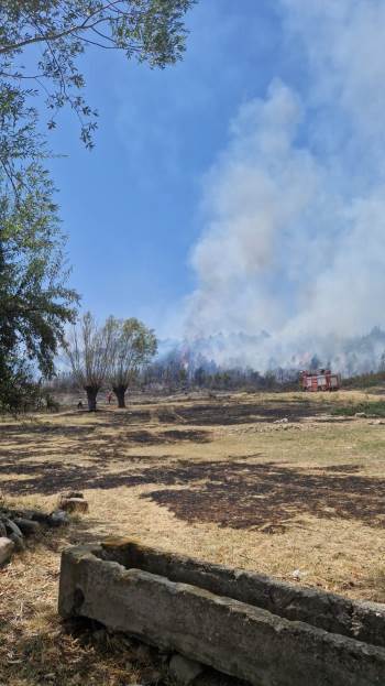 Afyonkarahisar’Da İkinci Orman Yangını
