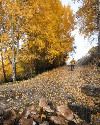 Afyonkarahisar’Da Kartpostallık Sonbahar Manzaraları
