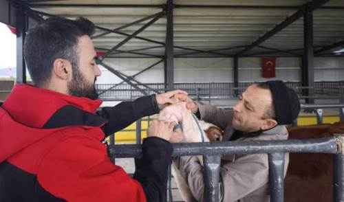 Afyonkarahisar’da kurbanlık denetimleri sıklaştırıldı