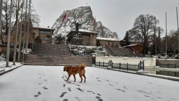Afyonkarahisar’Da Mart Kapıdan Baktırdı
