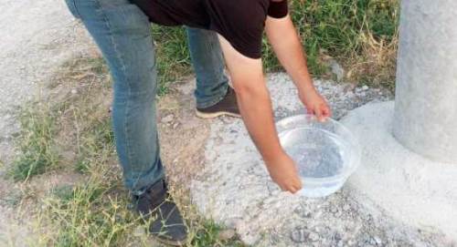 Afyonkarahisar’da muhtar sokak hayvanları için harekete geçti