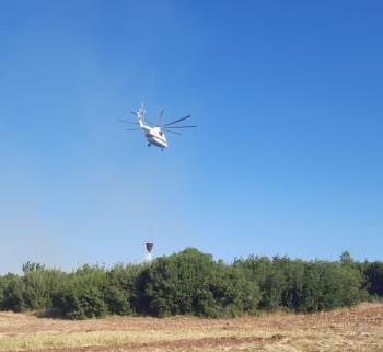 Afyonkarahisar’Da Orman Yangını
