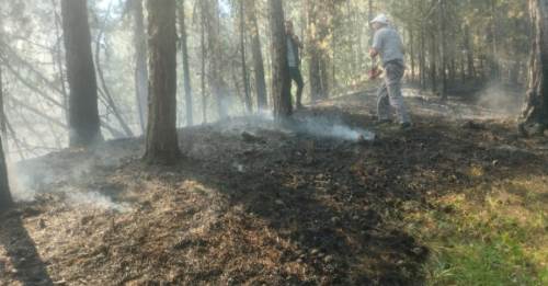 Afyonkarahisar’da orman yangını büyümeden söndürüldü