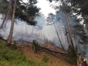 Afyonkarahisar’Da Orman Yangını
