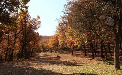 Afyonkarahisar’da sonbahar manzaraları sosyal medyada ilgi topladı