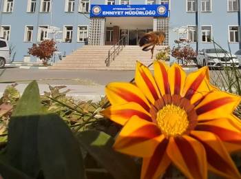 Afyonkarahisar’Da Sonbahar Ve Yaz Görüntüleri Bir Arada
