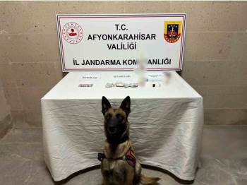 Afyonkarahisar’Da Suç Makinası Yakalandı
