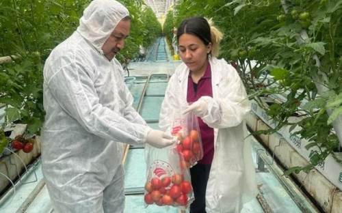 Afyonkarahisar'da üreticilere "pestisit" uyarısı