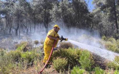 Afyonkarahisar’dan Akhisar’a yangınla mücadele desteği