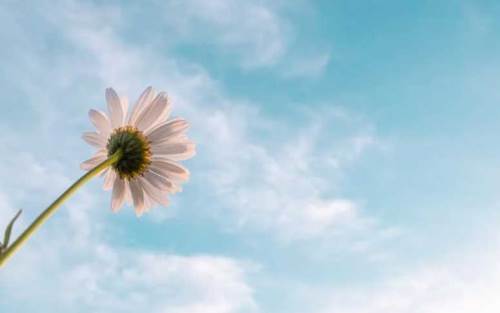 Afyonkarahisar hava durumu - 2 Temmuz 2025