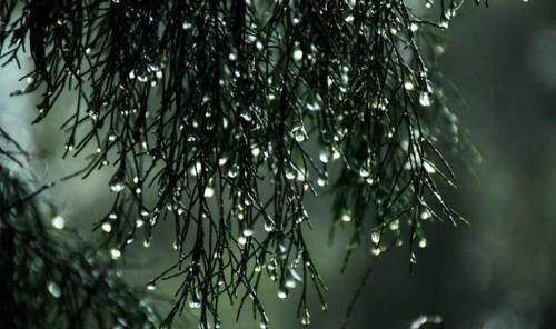 Afyonkarahisar hava durumu - 22 Nisan 2025