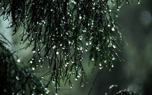 Afyonkarahisar hava durumu - 3 Nisan 2025