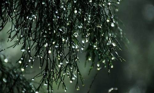 Afyonkarahisar hava durumu - 9 Nisan 2025