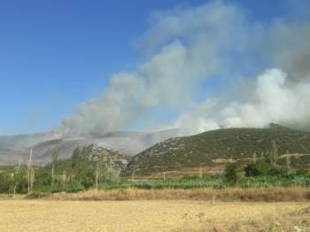 Afyonkarahisar’In Başmakçı İlçesinde Çıkan Orman Yangını Sabaha Karşı Kontral Altına Alındı
