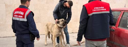 Afyonkarahisar jandarmasından şok baskın: 12 gözaltı!