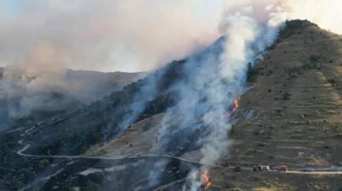 Afyonkarahisar Kemerkaya’da orman yangını korkuttu