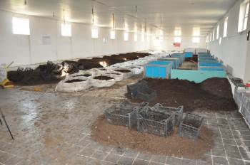 Afyonlu Üreticiler Avrupa Ve Asya Ülkelerine Solucan Gübresi İhracatına Hazırlanıyor
