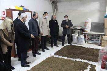 Ağaç Yapraklarından Pelet Üretiliyor
