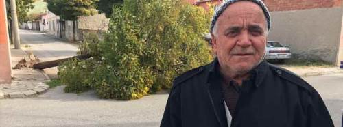 Ağacın altında kalmaktan saniyelerle kurtuldu