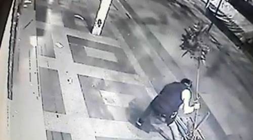 Ağaçla böyle dövüştü