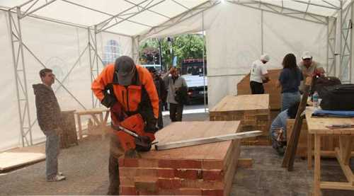 AĞAÇLAR ELLERDE YAŞAM BULUYOR