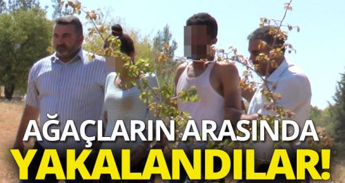 Ağaçların arasında kıskıvrak yakalandılar!