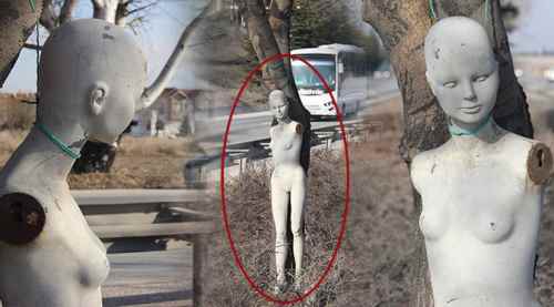 Ağaçta esrarengiz çıplak kadın mankeni
