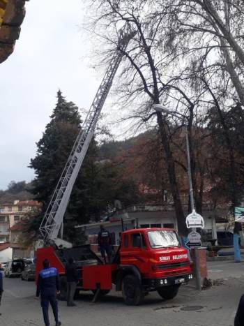 Ağaçta Mahsur Kalan Kediyi İtfaiye Ekipleri Kurtardı
