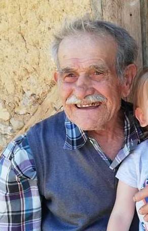 Ağaçtan Düşen 2 Kişiden Biri Öldü
