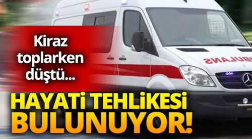 Ağaçtan düştü hayati tehlikesi var