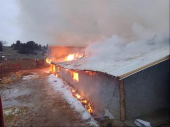 Ağılda Çıkan Yangında 30 Küçükbaş Hayvan Telef Oldu
