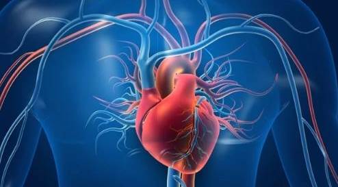 Ağızdaki eksik dişler kalbi vuruyor! Uzmanlar uyardı: Kalp krizi riski sessizce artıyor