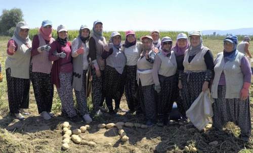 Agria patatesinde yüzler gülüyor: Fiyatlar 8-10 TL arasında