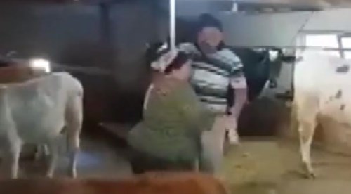 Ahırda dans eden çift fenomen oldu