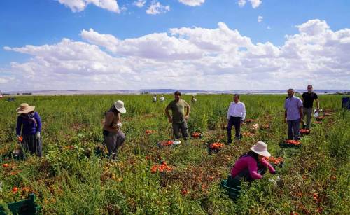 Ahmet Ataç, Eskişehir tarımını desteklemeye devam ediyor