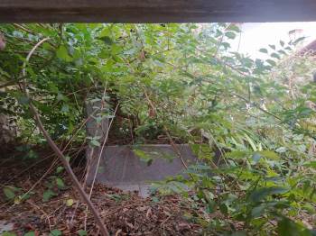 Ahteri Hazretleri’Nin Kabri Bakımsızlıktan Adeta Kayboldu
